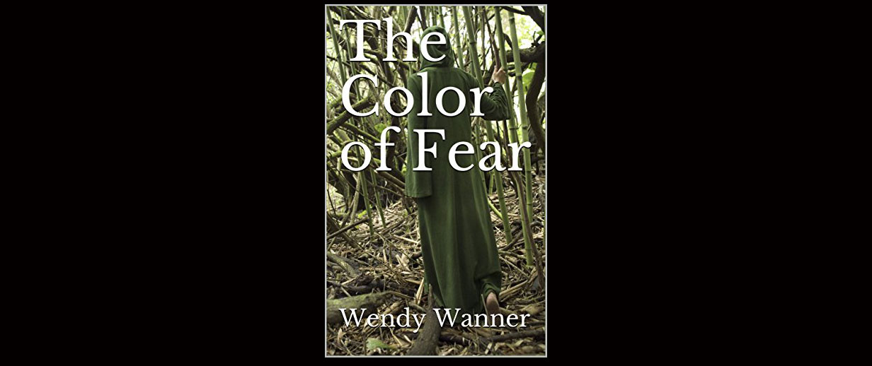 You are currently viewing Review of THE COLOR OF FEAR By Wendy Wanner