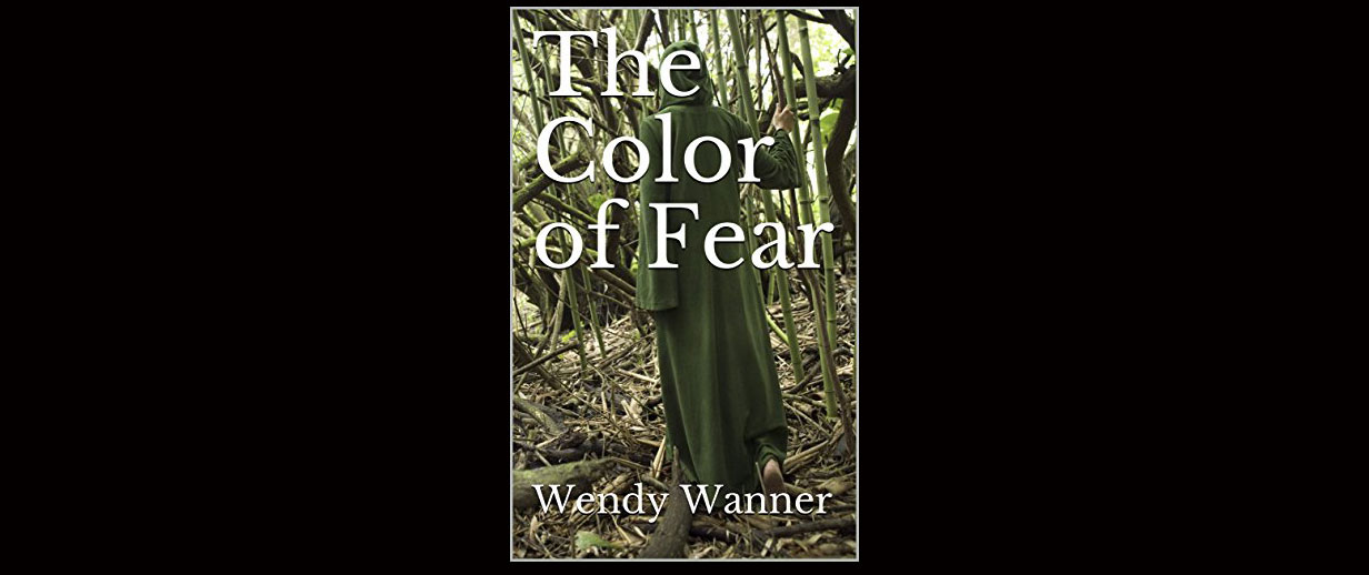 Read more about the article Review of THE COLOR OF FEAR By Wendy Wanner