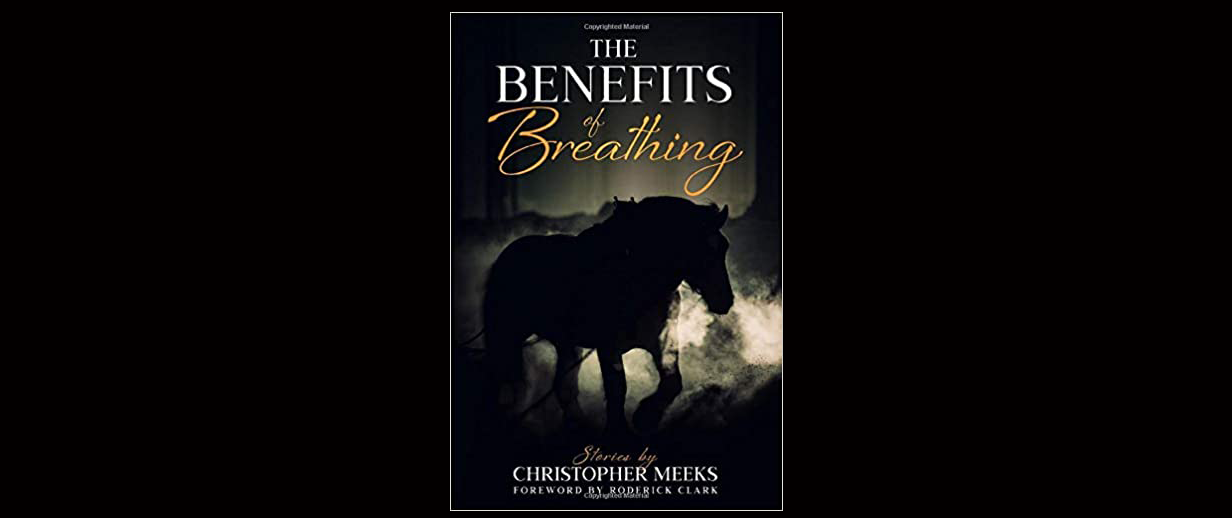 You are currently viewing THE BENEFITS OF BREATHING, by Christopher Meeks–Reviewed by James Victor Jordan
