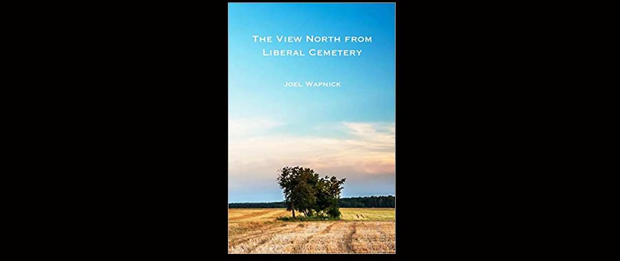 You are currently viewing THE VIEW NORTH FROM LIBERAL CEMETERY by Joel Wapnick, Reviewed By James Victor Jordan